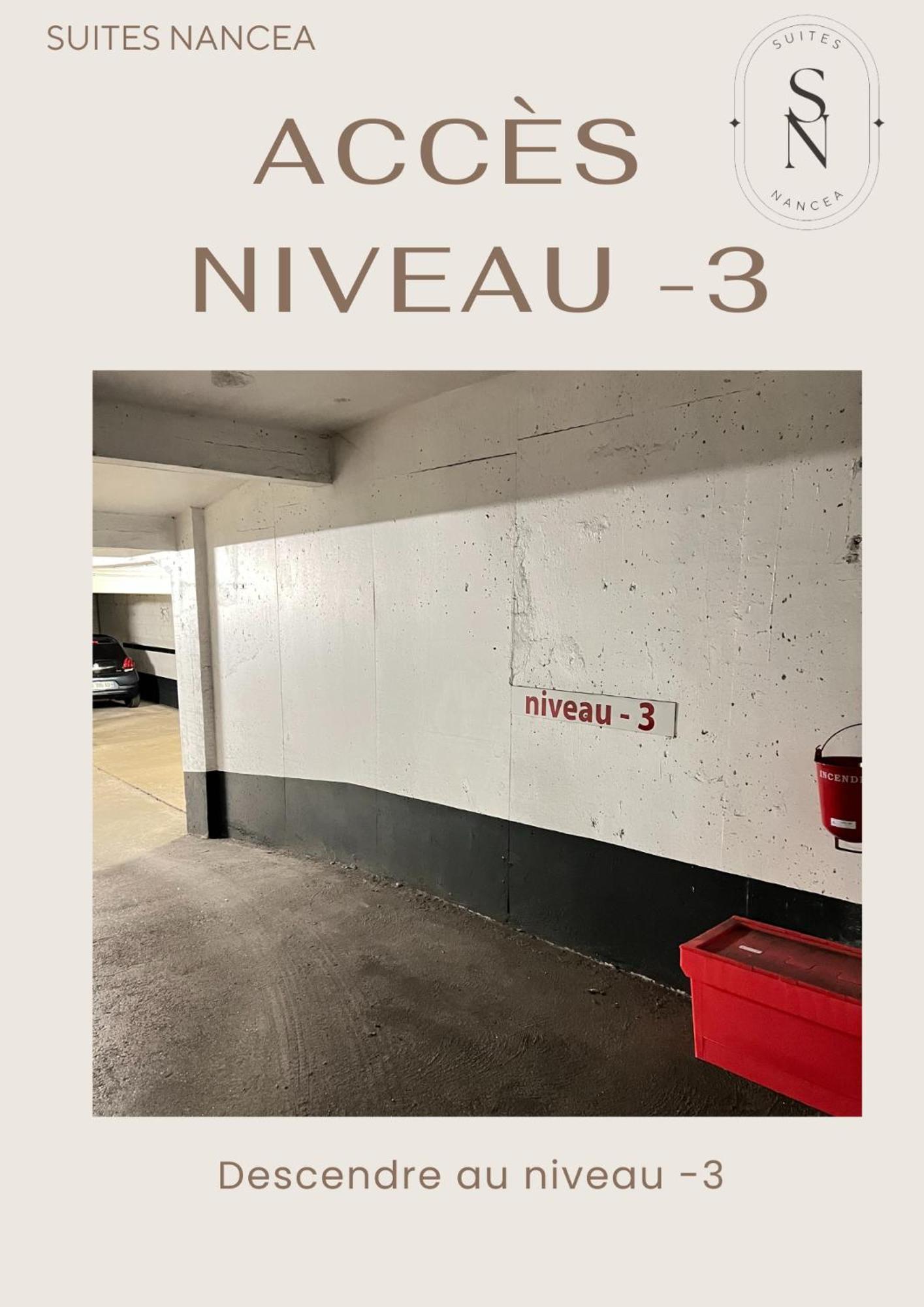 Vue Sur Le Palais - Nancy Gare Congres - Parking - T3公寓 外观 照片